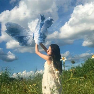 马里布录像带